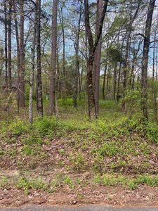 2 Lynch Rd, Bee Branch, AR, 72013