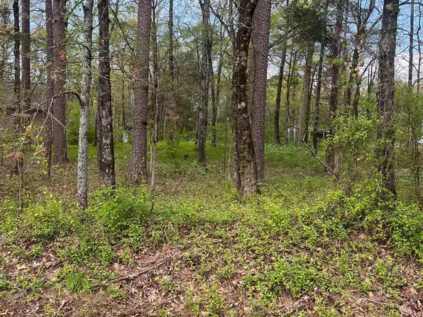 2 Lynch Rd, Bee Branch, AR 72013