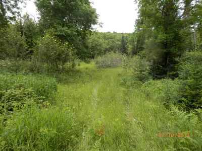 Tbd Section 3 Rd, Iron River, MI, 49935