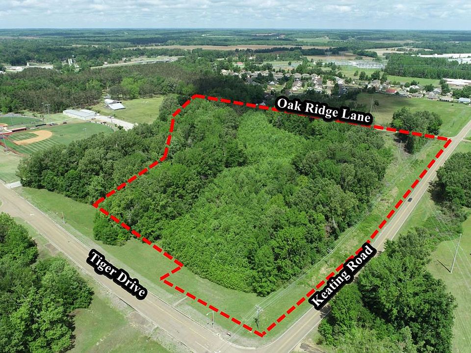 1st image of Tiger Dr