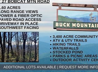 27 Bobcat Mountain Rd #27, Purlear, NC 28665