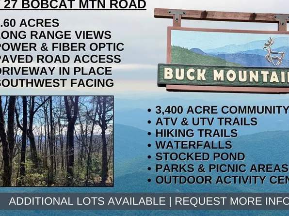 27 Bobcat Mountain Rd #27, Purlear, NC 28665