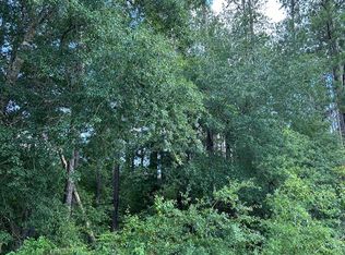 38 Crestview Rd, Abbeville, GA 31001