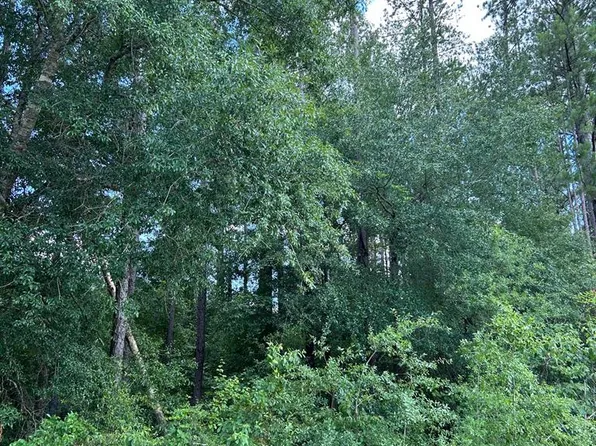 38 Crestview Rd, Abbeville, GA 31001