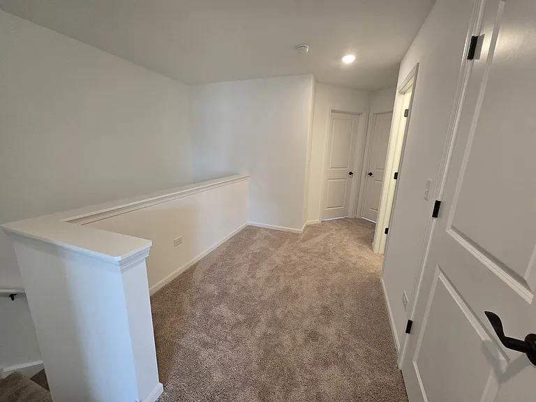 4509 Chelsea Manor Cir — Photo 10