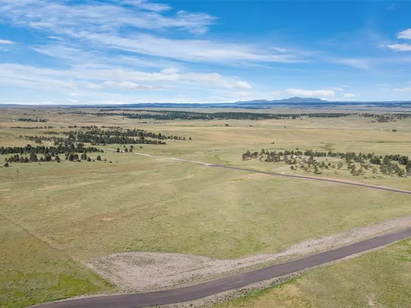 Parcel #12 Paz Street LOT 12, Ramah, CO 80832