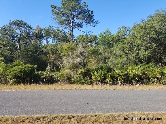 2nd image of 11732 W Cockscomb Dr