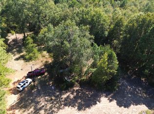 220 Valley View Rd, Avinger, TX 75630