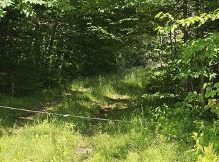 1718 Brown Schoolhouse Rd, Reading, VT 05062