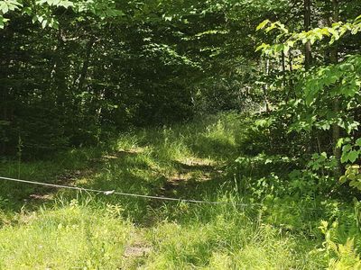 1718 Brown Schoolhouse Road, Reading, VT, 05062