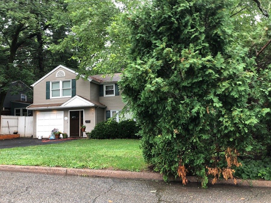 2nd image of 11 Douglas St
