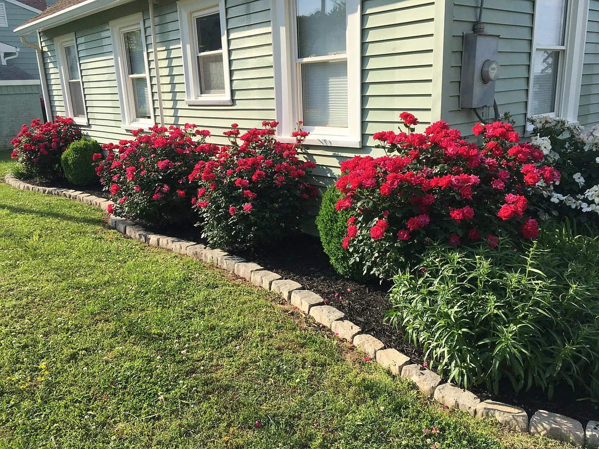 SPRING TIME! - 187 Rivers Edge Ln