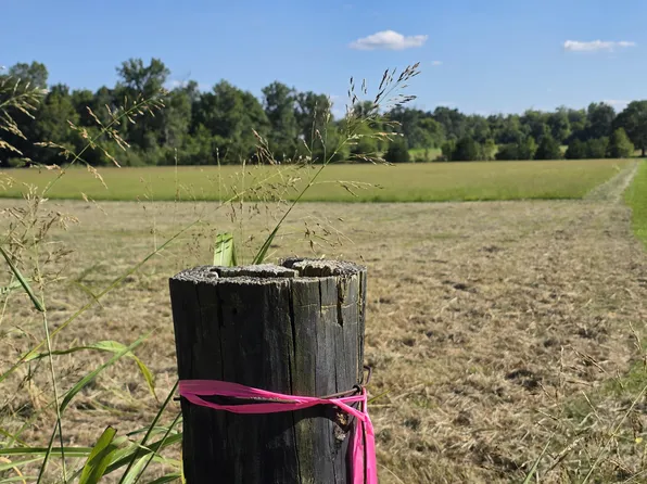 9999 Peggy Flats Rd, Berea, KY 40403