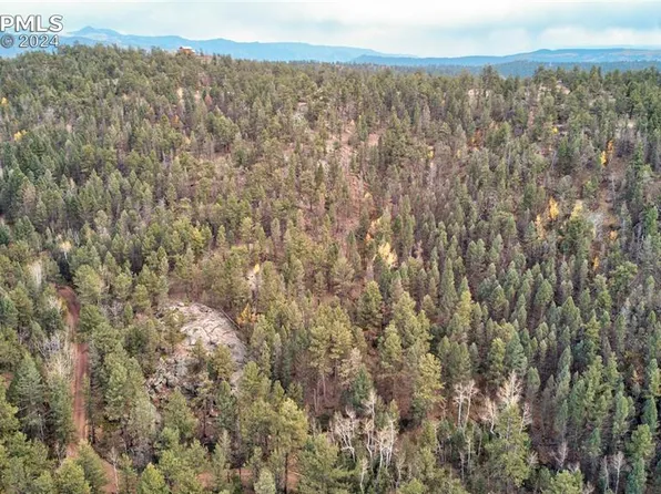 413 Pike View Dr, Divide, CO 80814