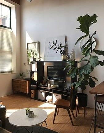 5th image of 60 Dudley St APT 205