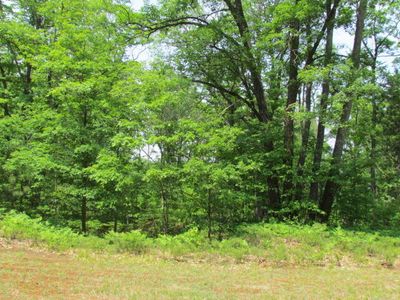 Allard Acres Trl, Lewiston, MI, 49756