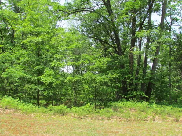 Allard Acres Trl, Lewiston, MI 49756