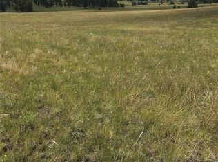 Daisy Ln, Guffey, CO 80820