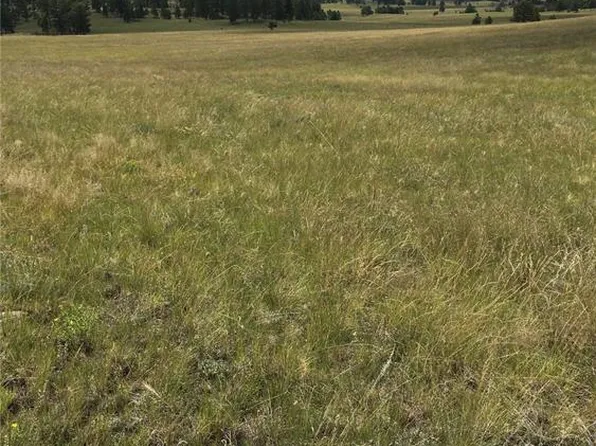 Daisy Ln, Guffey, CO 80820