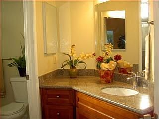 3rd image of 1529 Thornbriar Dr