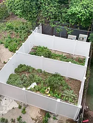 Rented by Bold New York