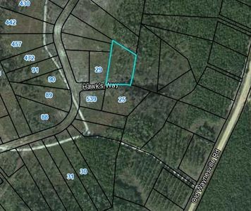 20 Hawks Way, Waynesville, GA, 31566