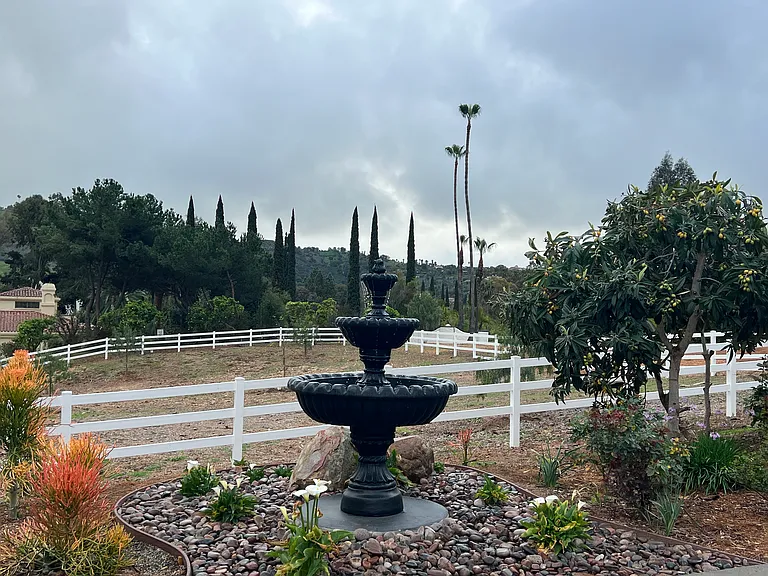 7280 Via Mariposa Norte — Photo 37