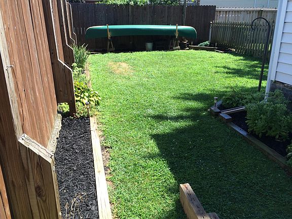 Back yard