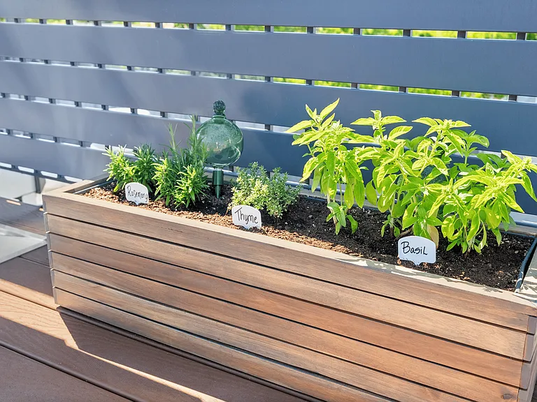 Fresh herbs at your fingertips_perfect for rooftop BBQs and al fresco dining.