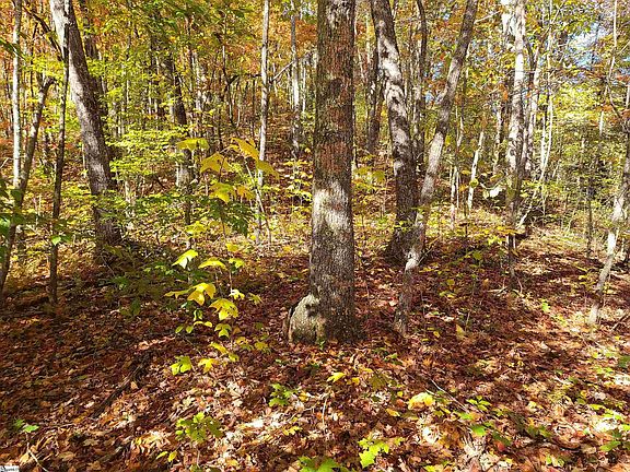 2nd image of 0 Bettys Creek Rd