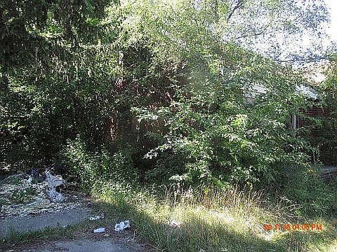12921 Hayes