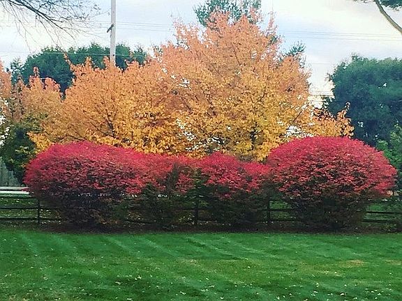 Beautiful Grounds