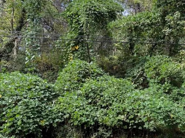 0 Varnell Ave NE Lot 4, Roanoke, VA 24012