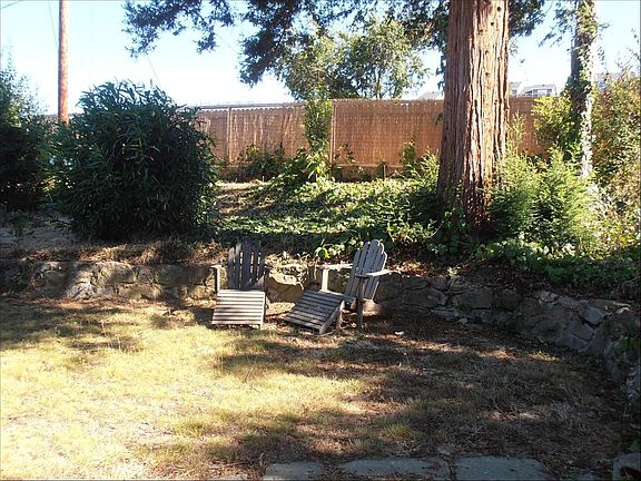 Garden with mature redwood tree