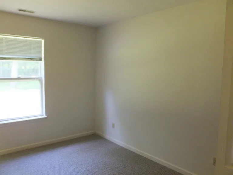 494 Pheasant Run — Photo 19