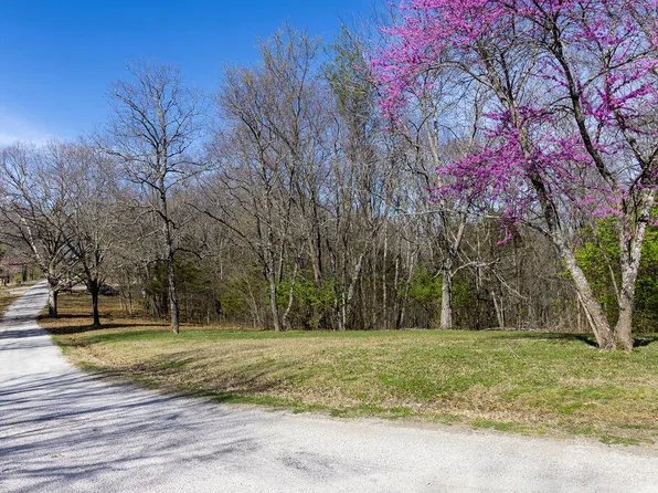 Lot 13&14 Ance Acres Lane, Reeds Spring, MO 65737