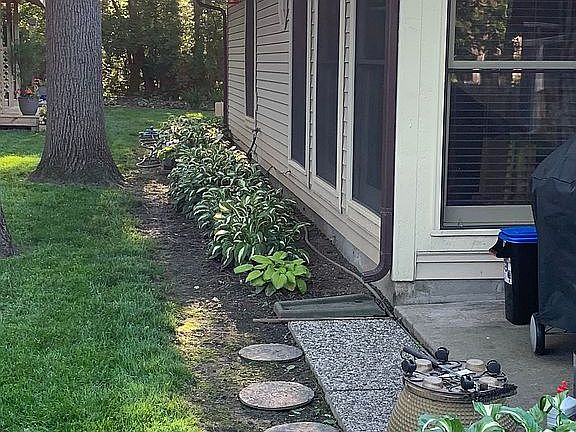 South East corner backyard 