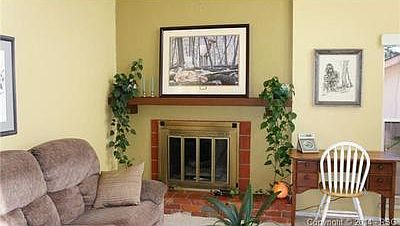 Gas fireplace in the living room