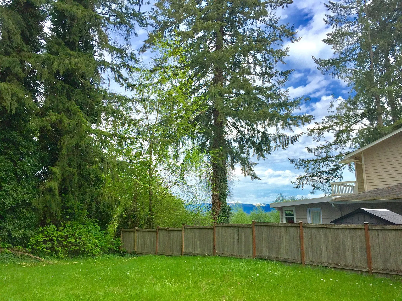 4 bed, 2880 sqft, $3,150 — Photo 4