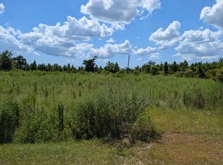 111 Goldenrod Ln, Wewahitchka, FL 32465