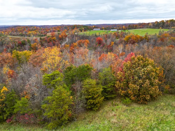 4754 County Road 36, Chesapeake, OH 45619