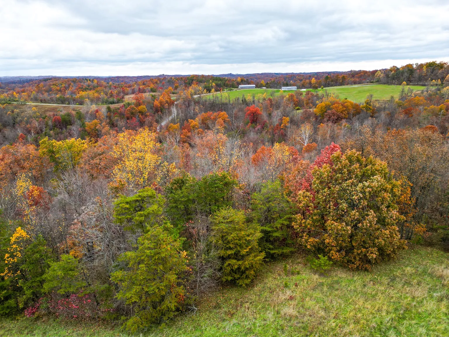 4754 County Road 36 photo 1