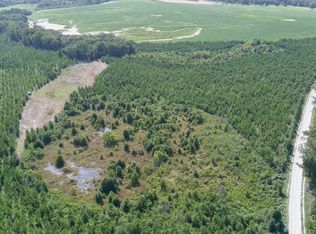 0 Bethel Church Rd, Eastman, GA 31023