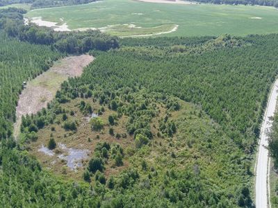 0 Bethel Church Rd, Eastman, GA, 31023