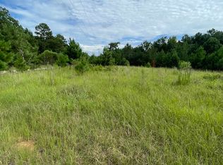 1041 Clint Williams Rd, Lincolnton, GA 30817