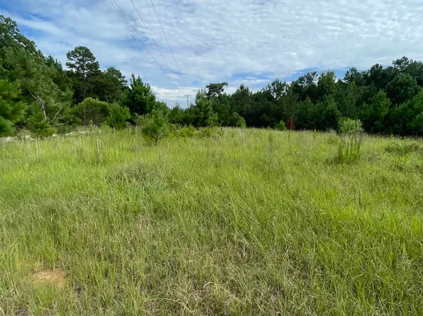 1041 Clint Williams Rd, Lincolnton, GA 30817