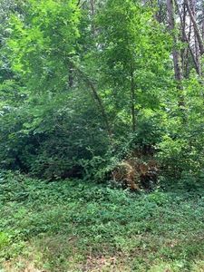 53 Jensen Ave SE, Cleveland, TN, 37323