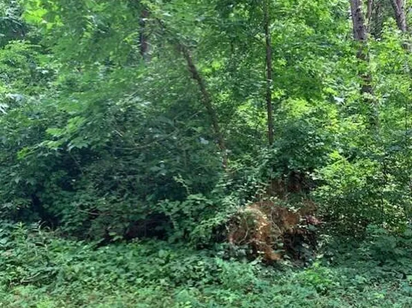 53 Jensen Ave SE, Cleveland, TN 37323