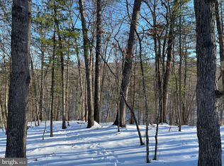 Chestnut Ridge Rd, Basye, VA 22810