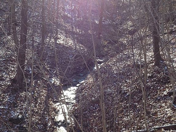 3rd image of Larrick Ln